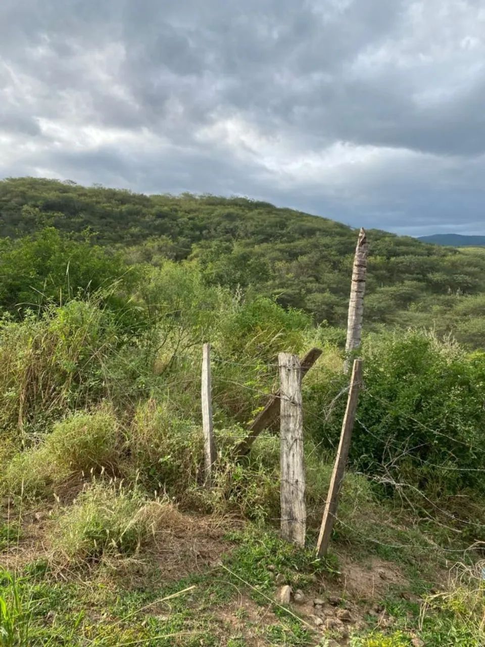 Fazenda em Jequié  - Foto 3
