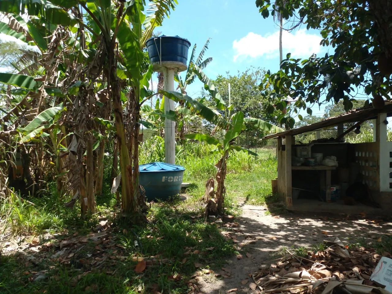 Chácara em itaporanga  - Foto 4