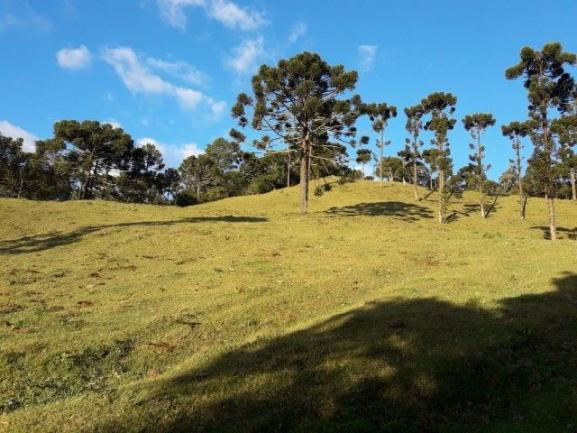 Sitios em Urubici - Foto 10