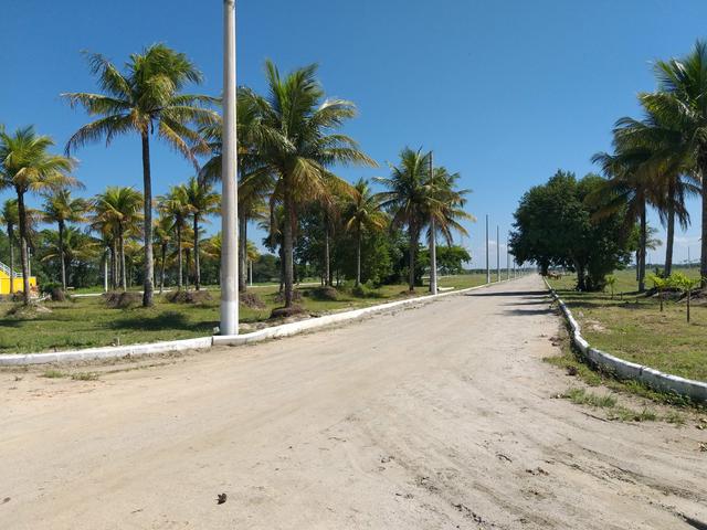 Cód 107 Lotes Prontos Para Construção!!!! - Foto 3
