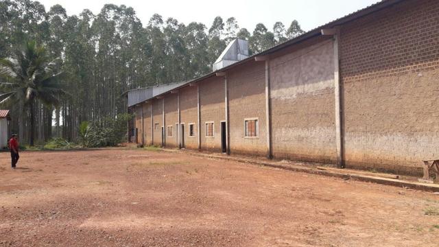 Vendo Linda Fazenda de frente a estrada - a 30 km de porto velho/Ro - Foto 15
