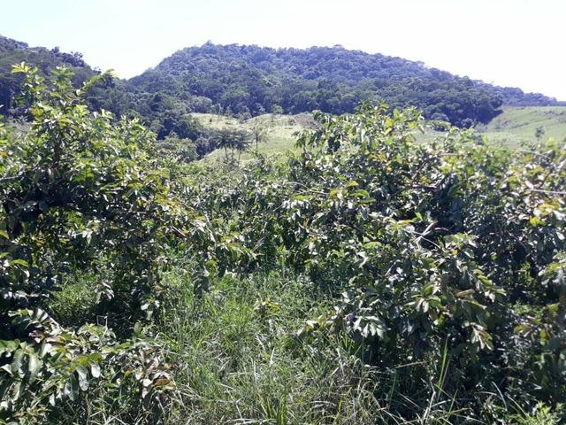 Belíssimo sítio em Cachoeiras de Macacu RJ 122 medindo 20.000m2 oportunidade!!!! - Foto 18