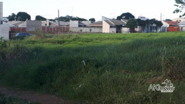 8046 | Terreno à venda em Centro, Nova Esperança - Foto 6