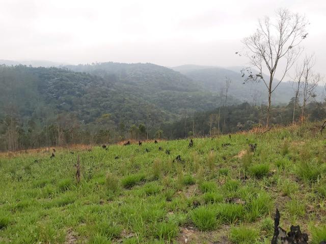Terreno próximo de Araçariguama - Foto 5