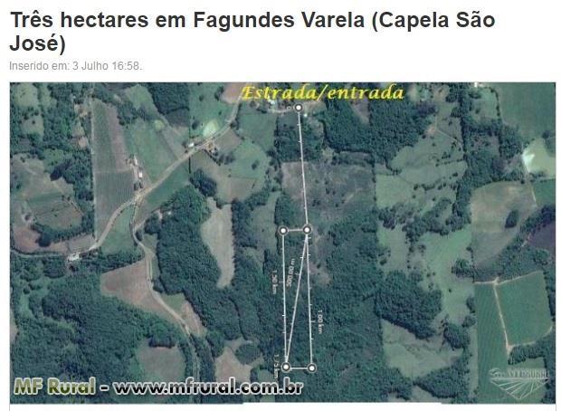 Área de terra com 3 hectares em Fagundes Varela (capela São José)