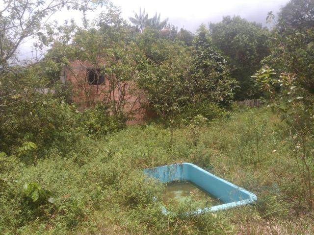 Sítio C/ Igarapé,Casa,Fonte Mineral,Galpão - Foto 8