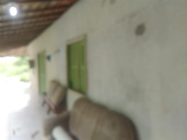 Sítio C/ Igarapé,Casa,Fonte Mineral,Galpão - Foto 6