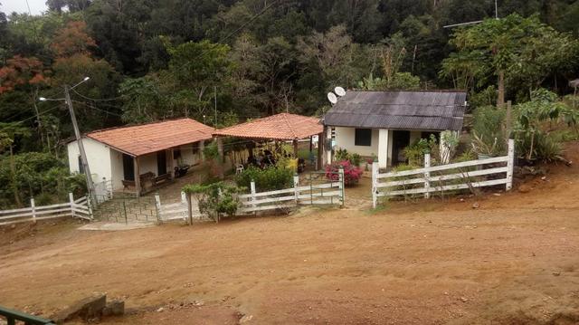 Vendo Fazenda Totalmente Produtiva - Foto 6