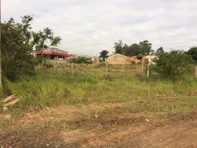 Terreno - Foto 2