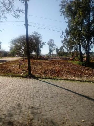Terreno zona norte - Foto 3