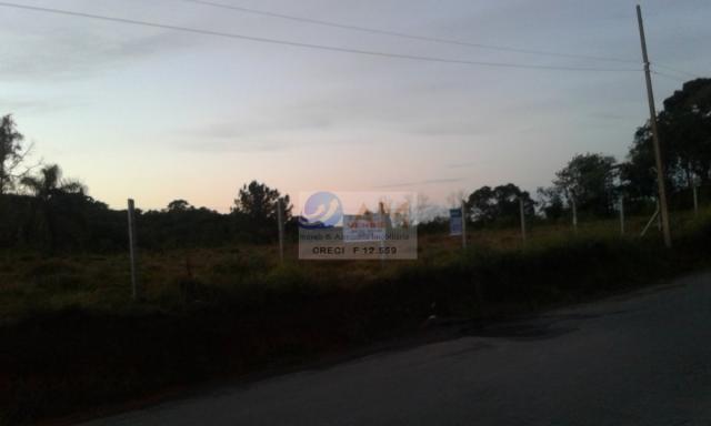 Área, Vila Gilcy, Campo Largo-PR - Foto 19