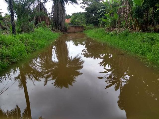 Vendo sitio em jaua - Foto 18