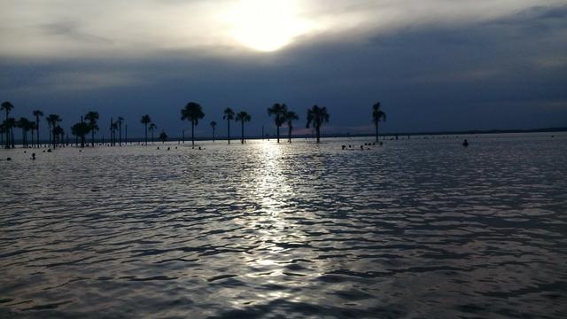 Ágio de lote a venda Nova Flamboyant Palmas - Foto 4