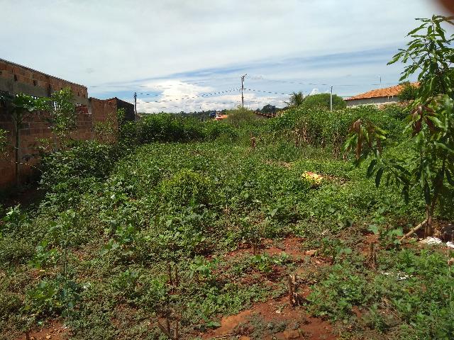 Terreno - Goianira - Parque dos Girassóis - Foto 8