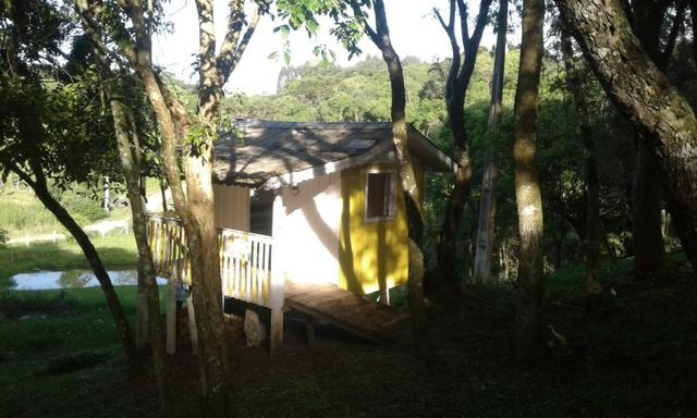 Vende-se chácara em Anta Magra - Quitandinha (cód. A354) - Foto 4