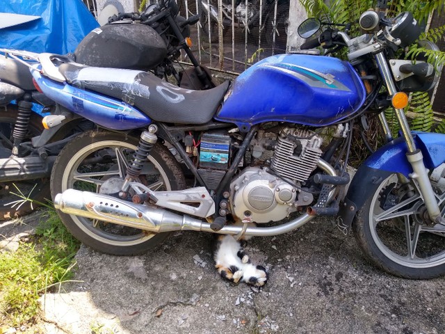 SUZUKI YES 2014 E 2010 E 2008 DE LEILÃO NOTAS