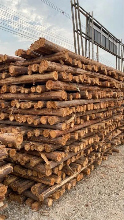 Escoras de 3m para laje - 6,99