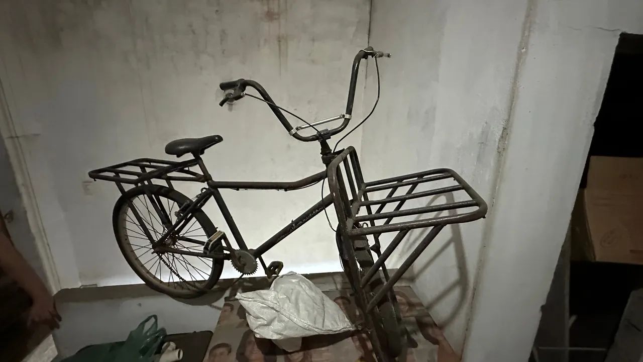 Bicicleta de Carga - Sem Marcha - Foto 3