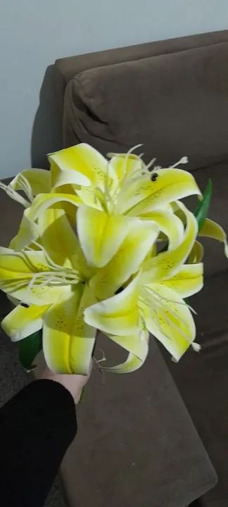 Flor 