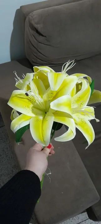 Flor  - Foto 2