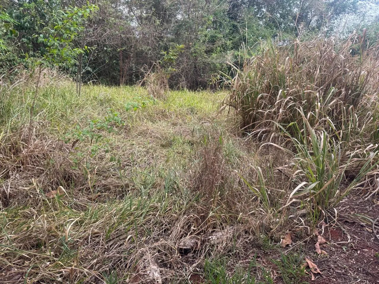 Excelente lote em Condomínio fechado, Igarapé  - Foto 4
