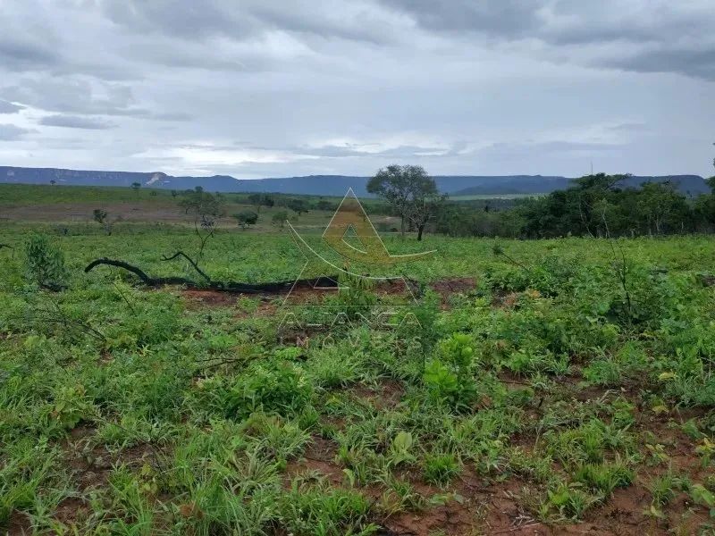 Fazenda - Ponte Alta do Bom Jesus - Zona Rural - Foto 2