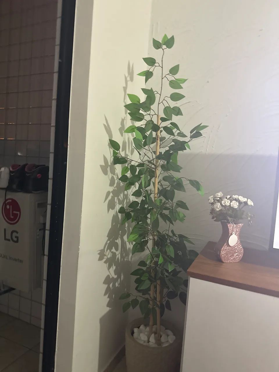 Arranjo 63824636723459120