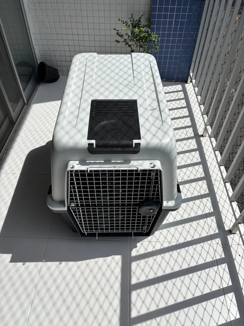 Caixa de Transporte para Cães - Ideal para viagens de avião! 