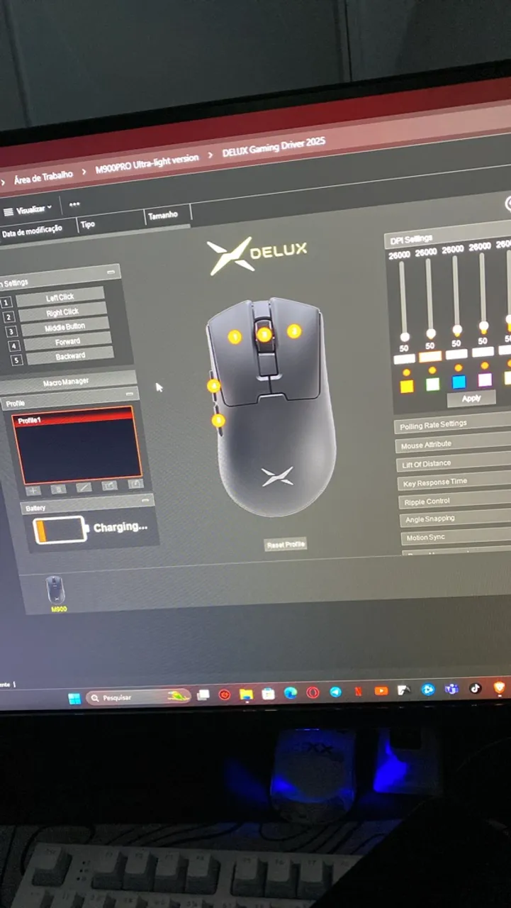 MOUSE DELUX M900PRO