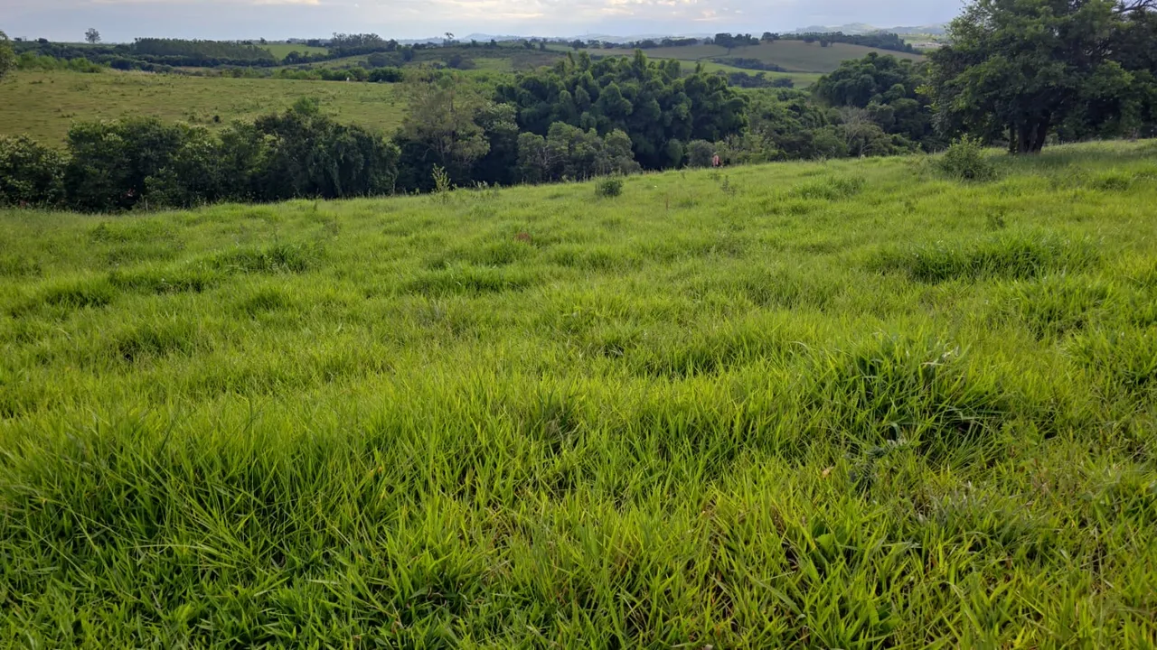 Fazenda de pastagem e represa