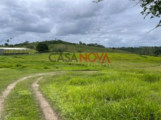 Fazenda com 150 tarefas em Itaporanga