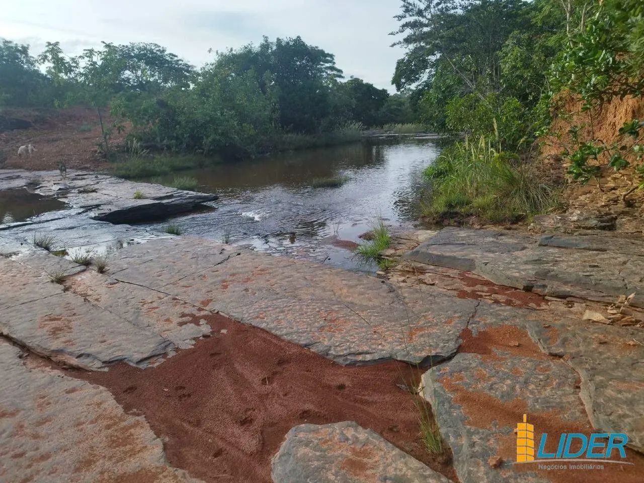 Fazenda à venda, AREA RURAL DE SAO GONÇALO DO ABAETE - MG - SAO GONCALO DO ABAETE/MG - Foto 4