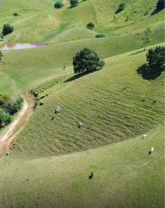 Fazendas a Venda  - Foto 2