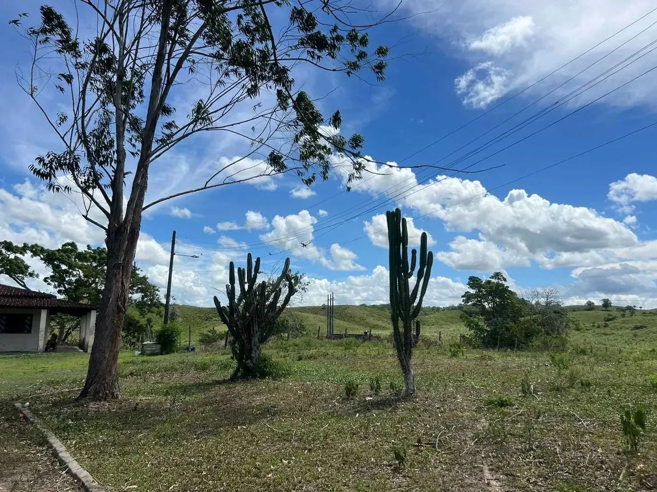 Chácara União - Riachuelo - Se [35] - Foto 3