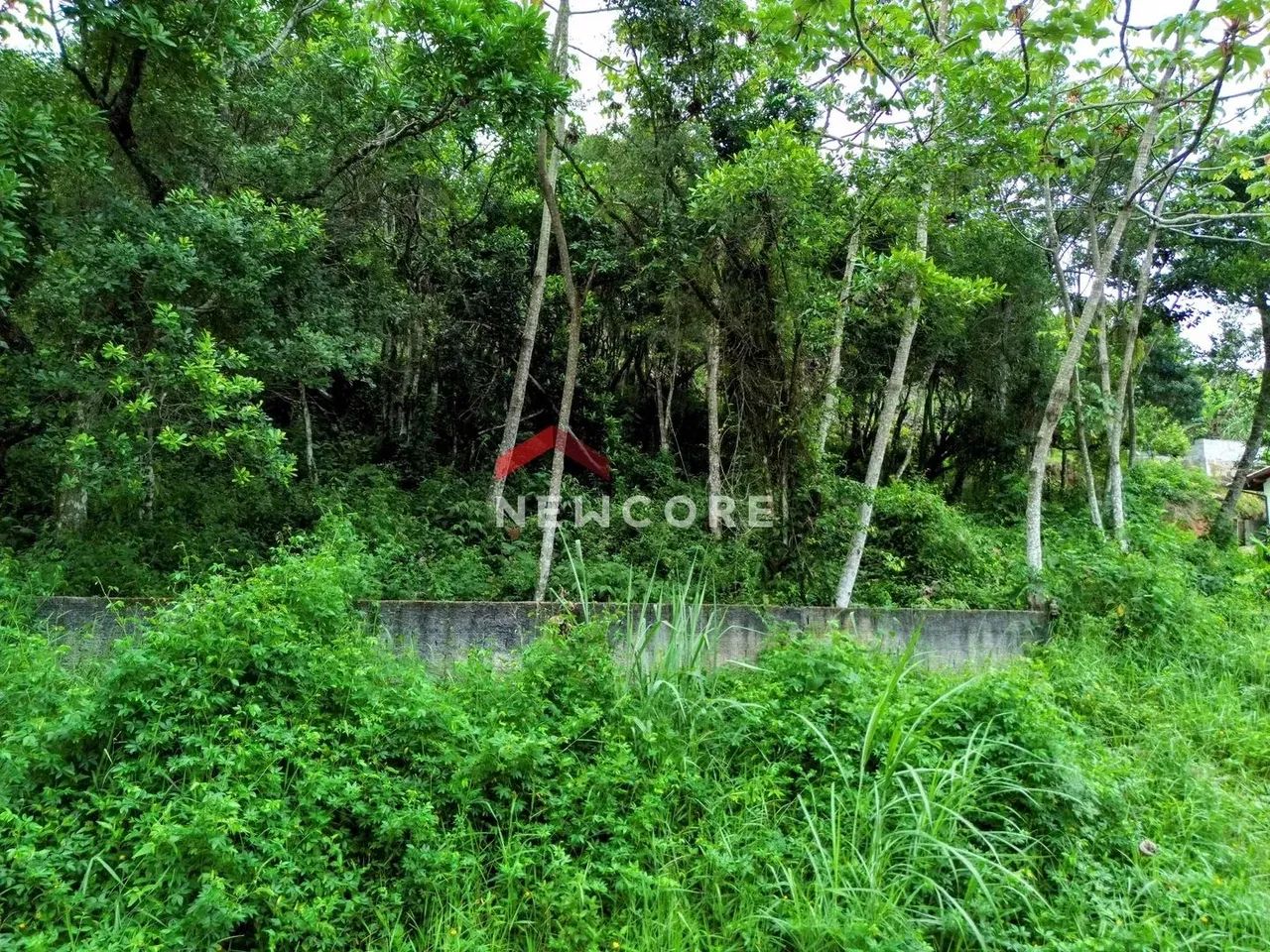Lote em Rodovia Rafael da Rocha Pires - Sambaqui - Florianópolis/SC - Foto 4
