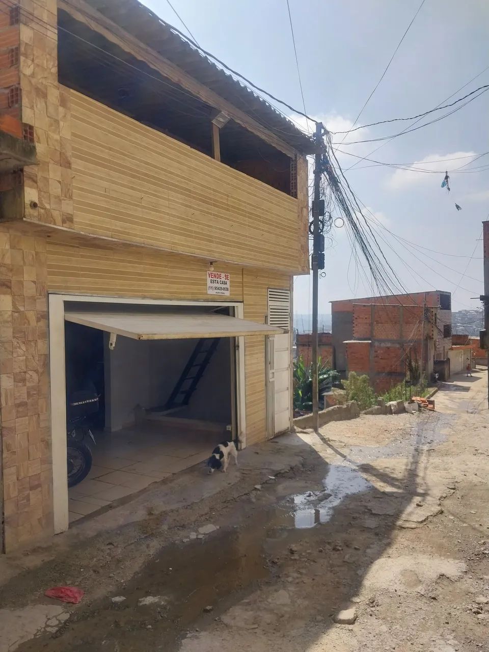 Foto - São Paulo - Parque das Flores