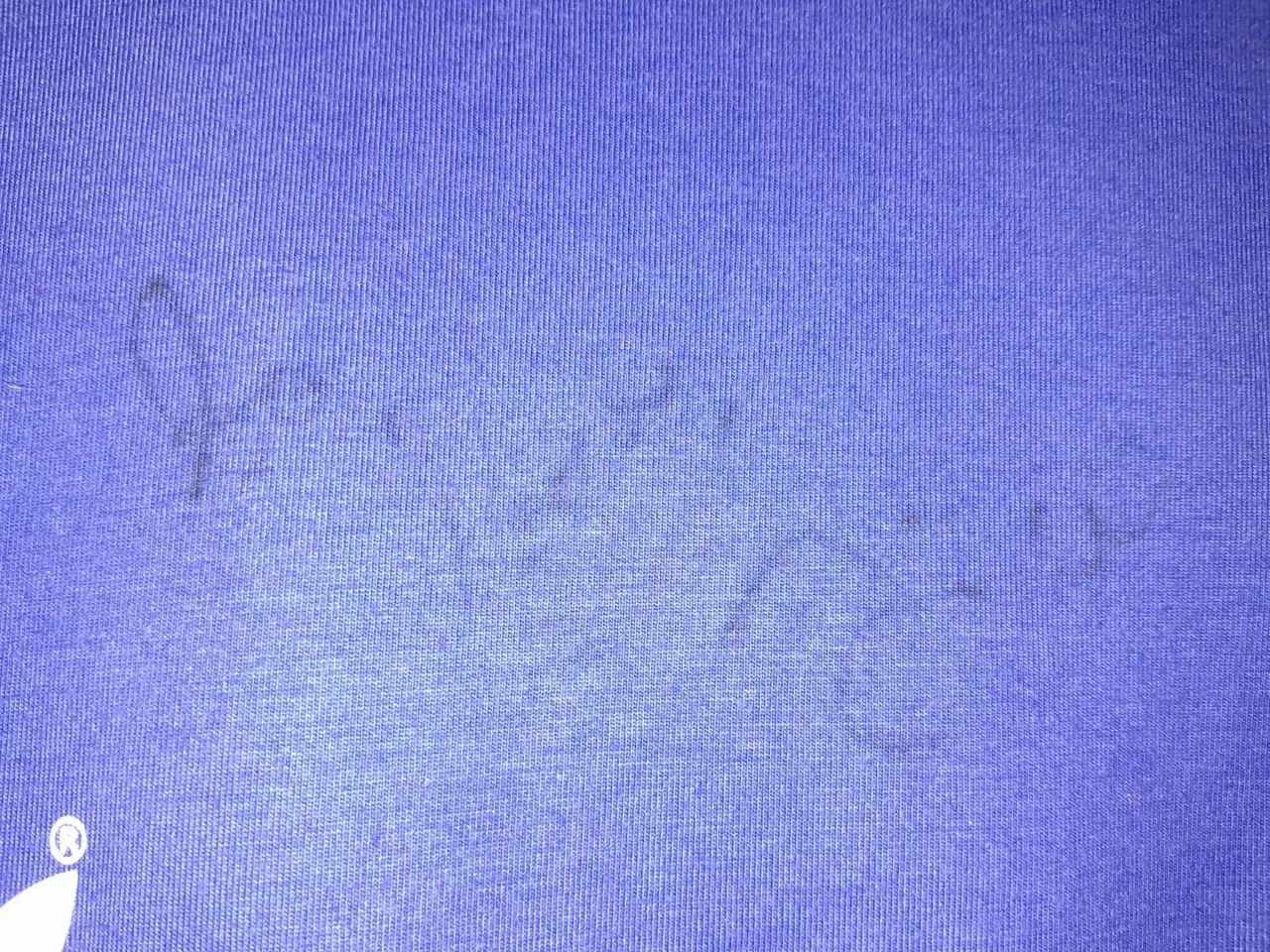 Camisa Brasil Copa América 1979 #10 Zico Jogo Autografada Certificada - Foto 2