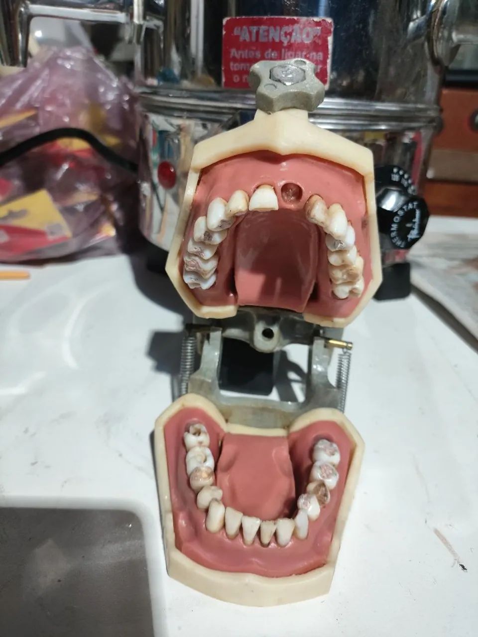 MODELO ODONTOLÓGICO ARCADA DENTÁRIA (DEMONSTRAÇÃO)