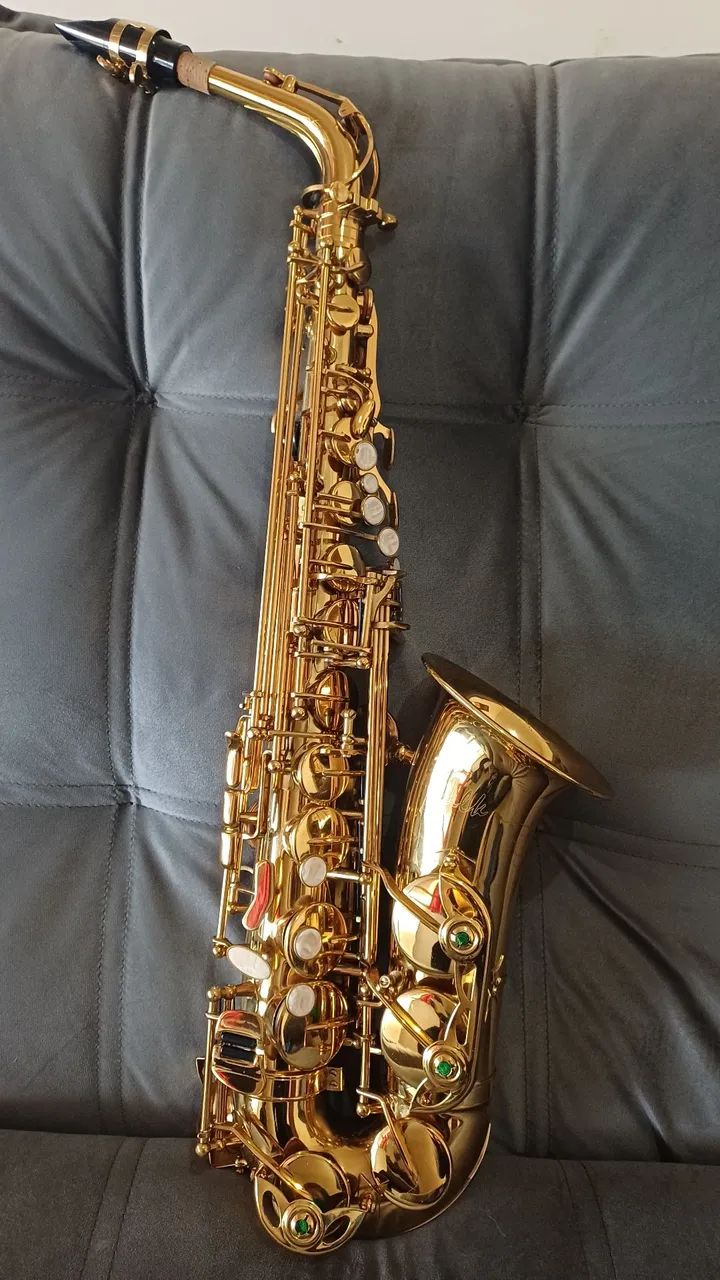 Sax Alto Muito Novo, Afinado e regulado