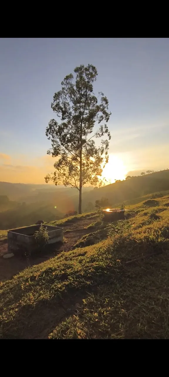 Seu Refúgio em São Roque te Espera! Terreno de 1.000m² em Condomínio Fechado