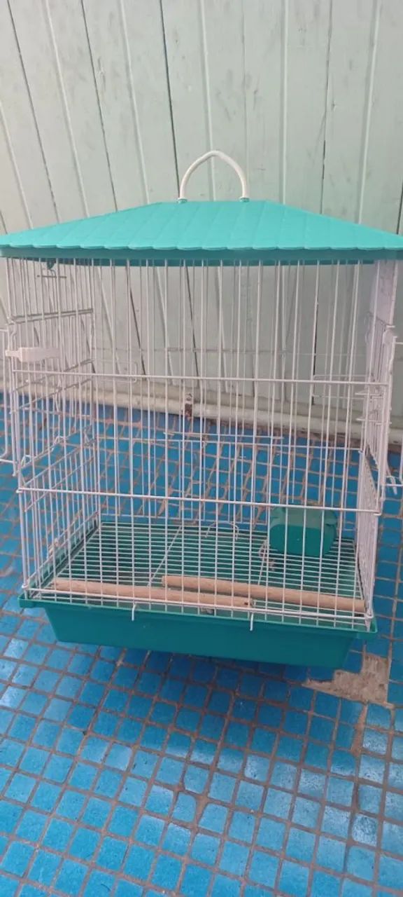 02 gaiola de ferro pra Pássaro ? 
