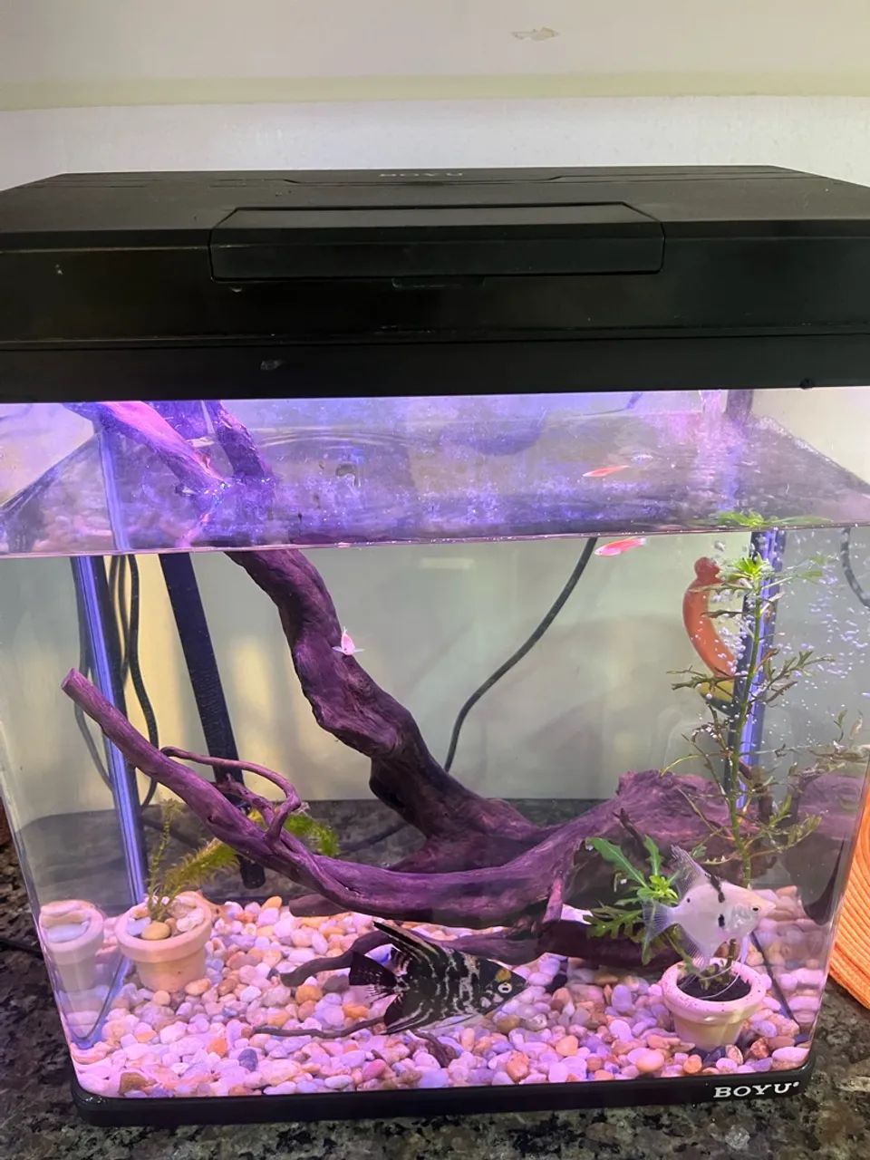 Vendo Aquário Boyu 66L com LED - Foto 3