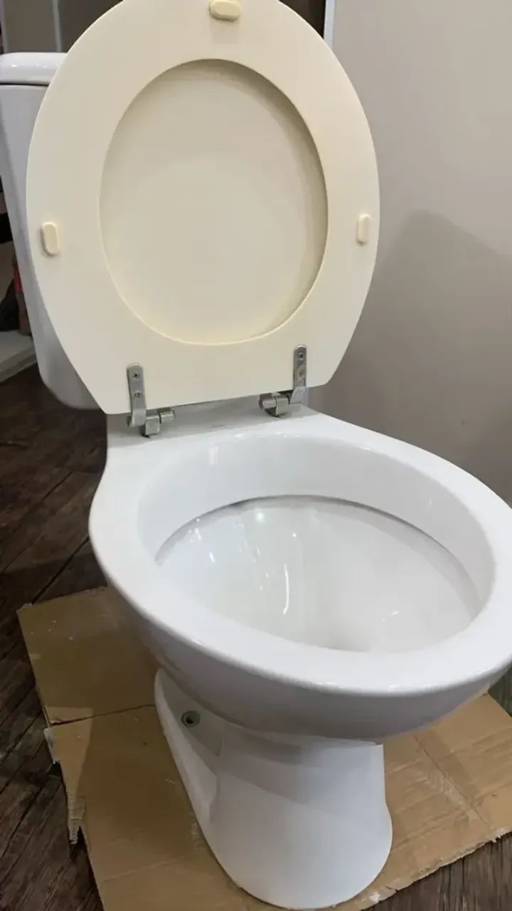 White Toilet Set with Integrated Cistern