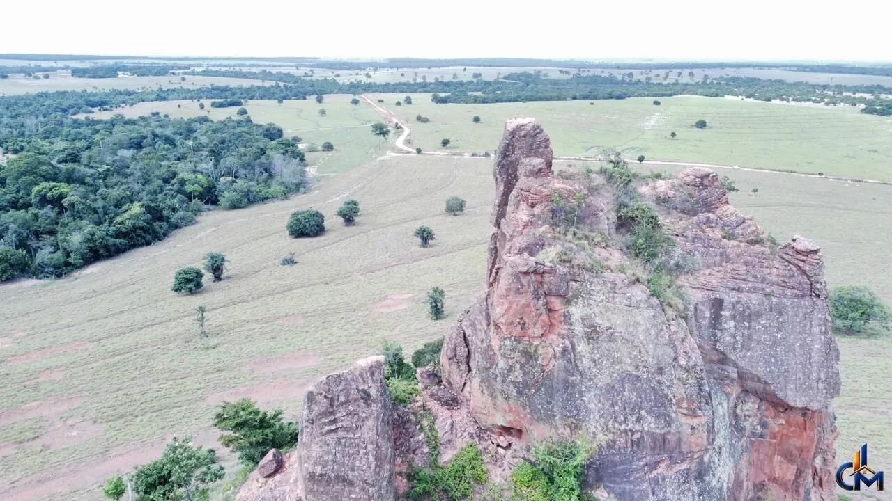 Fazenda Pecuária Tangará da Serra - Foto 2