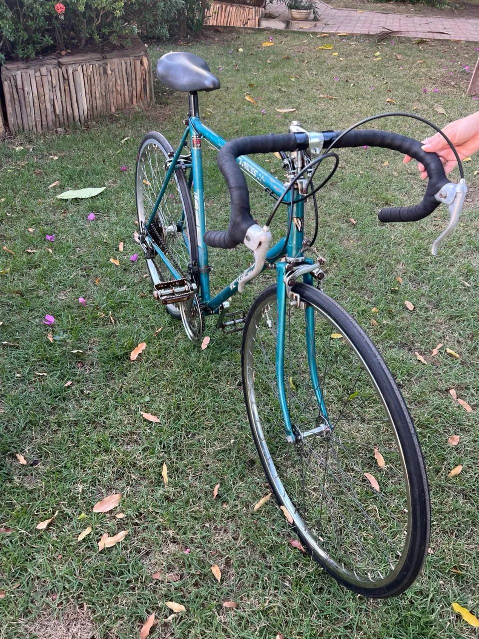 Bicicleta Velosport - Foto 2