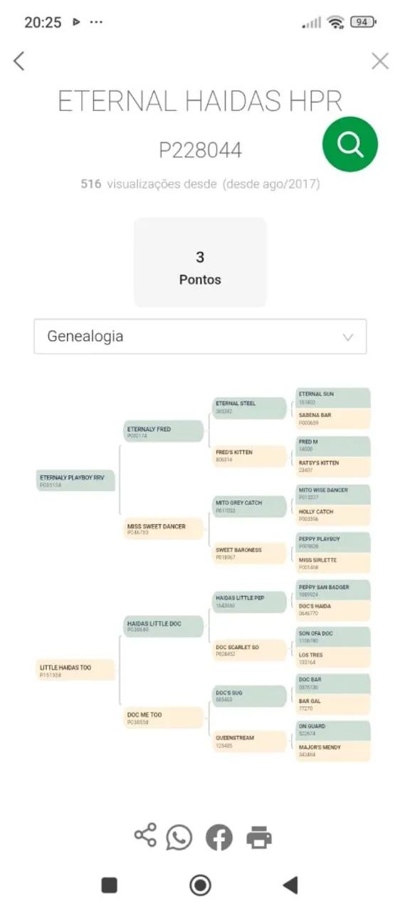 Cobertura Garanhão QM Eternal Haidas HPR  - Foto 6