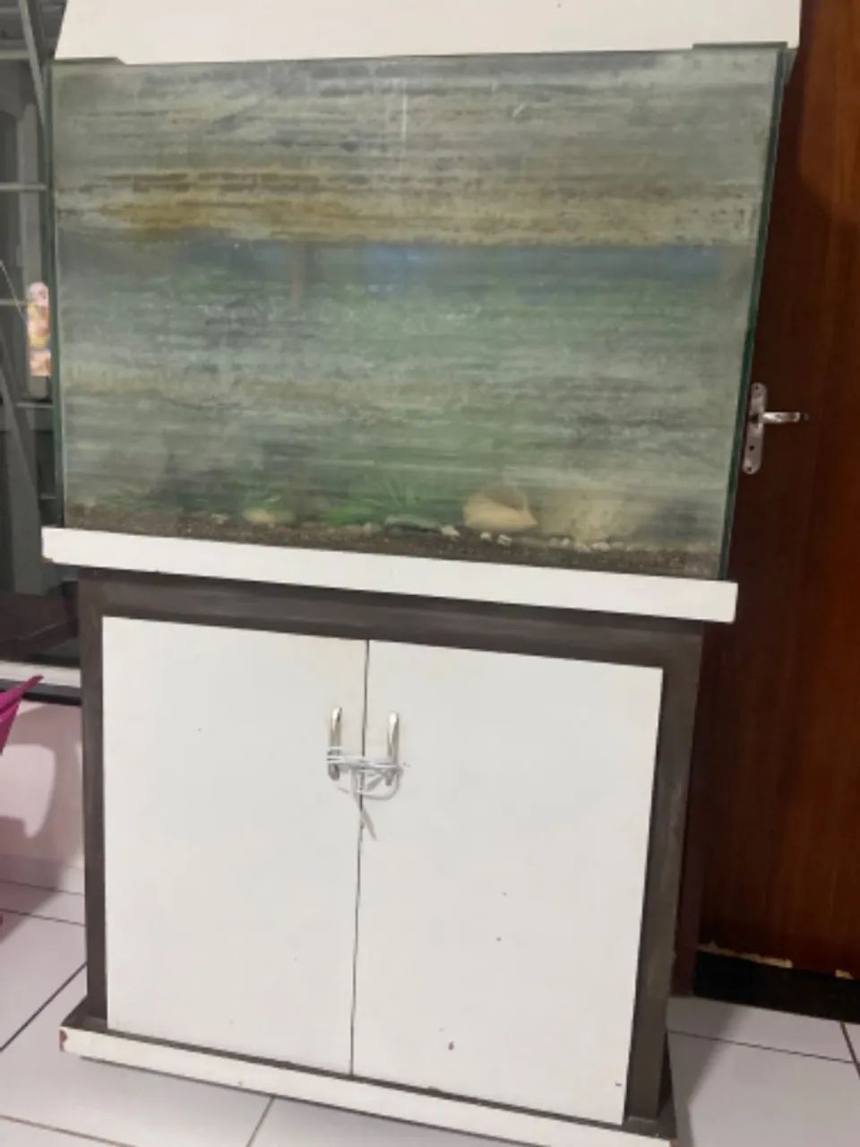 Aquário 