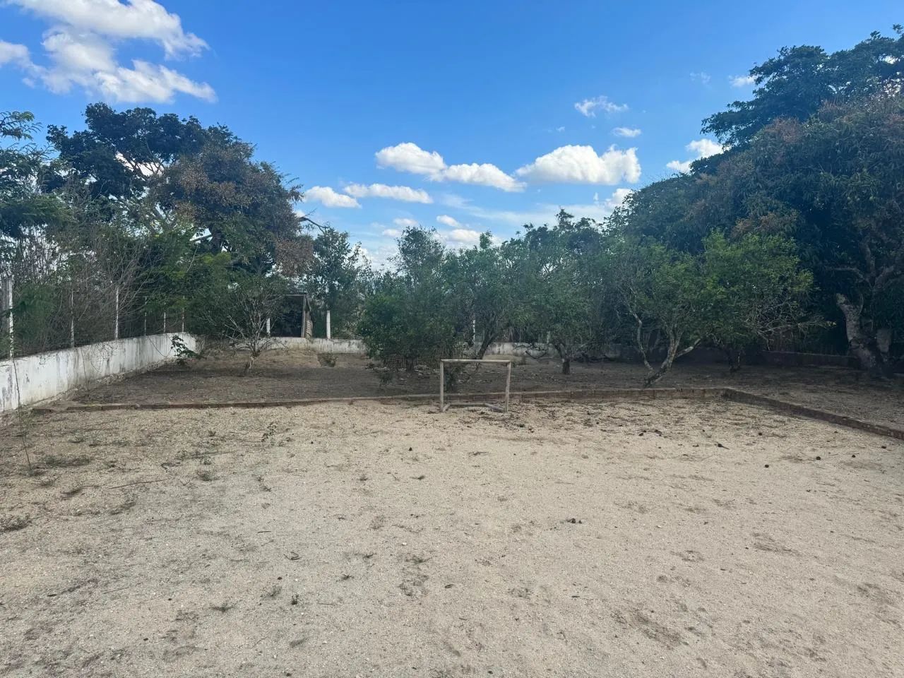 Sítio com 3,5 hectares em Sairé/PE  - Foto 4