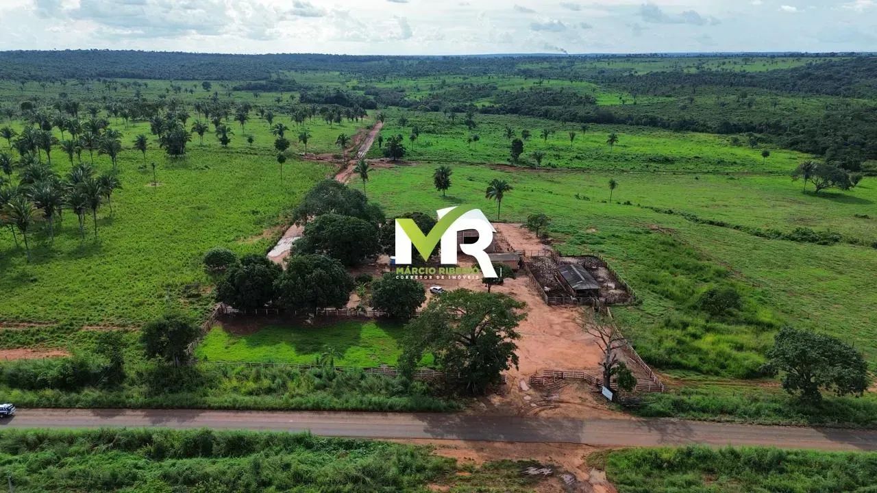 FAZENDA À VENDA  TOCANTINÓPOLIS/TO 2.081 hectares - Foto 4