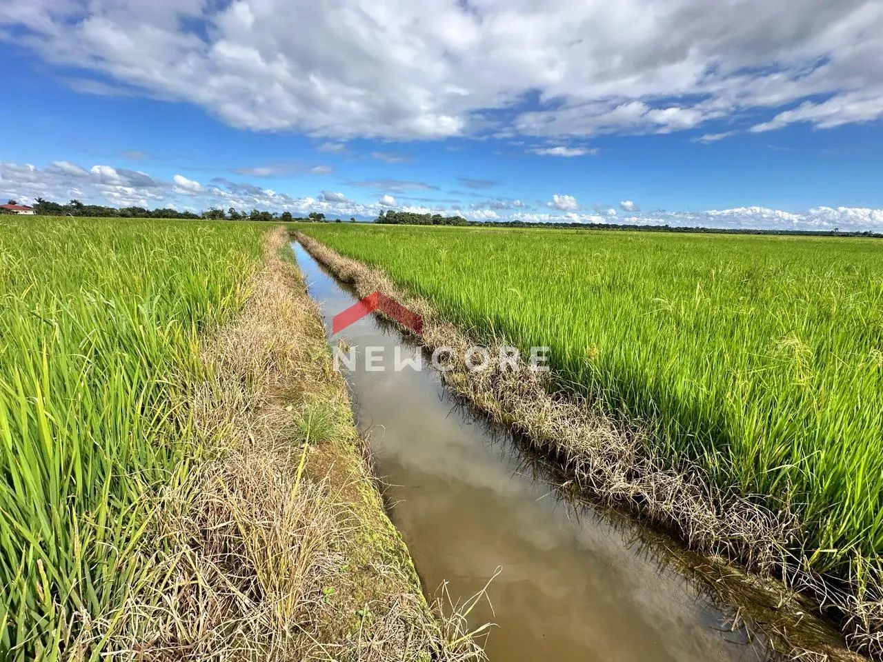 Sítio em Araquari - Centro - Araquari/SC - Foto 2